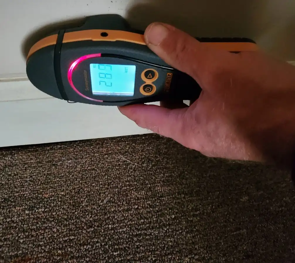 Moisture detection at baseboard during Sewage Cleanup & Sanitation in Florin